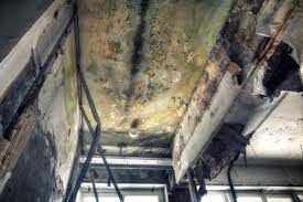 Best Mold Removal for HVAC Installations  in Seven Fields, PA